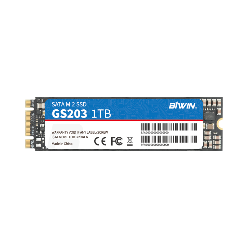 M.2 SATA SSD（图1）
